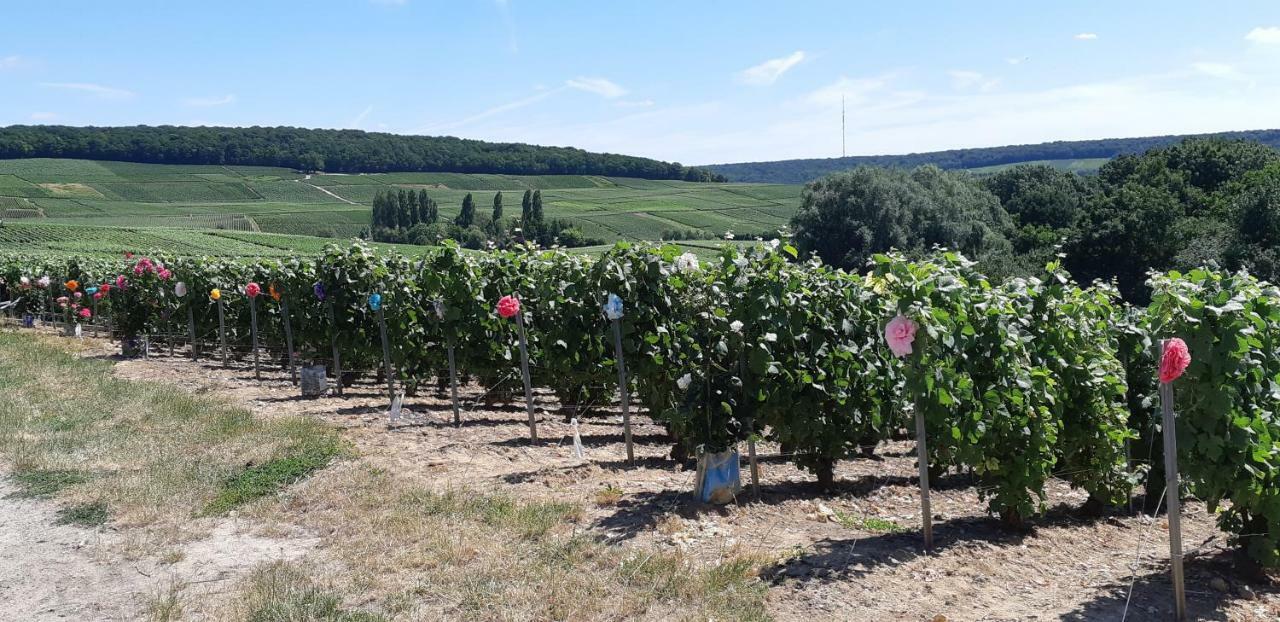 Flor'Ever En Champagne Fleury-la-Riviere Exterior photo