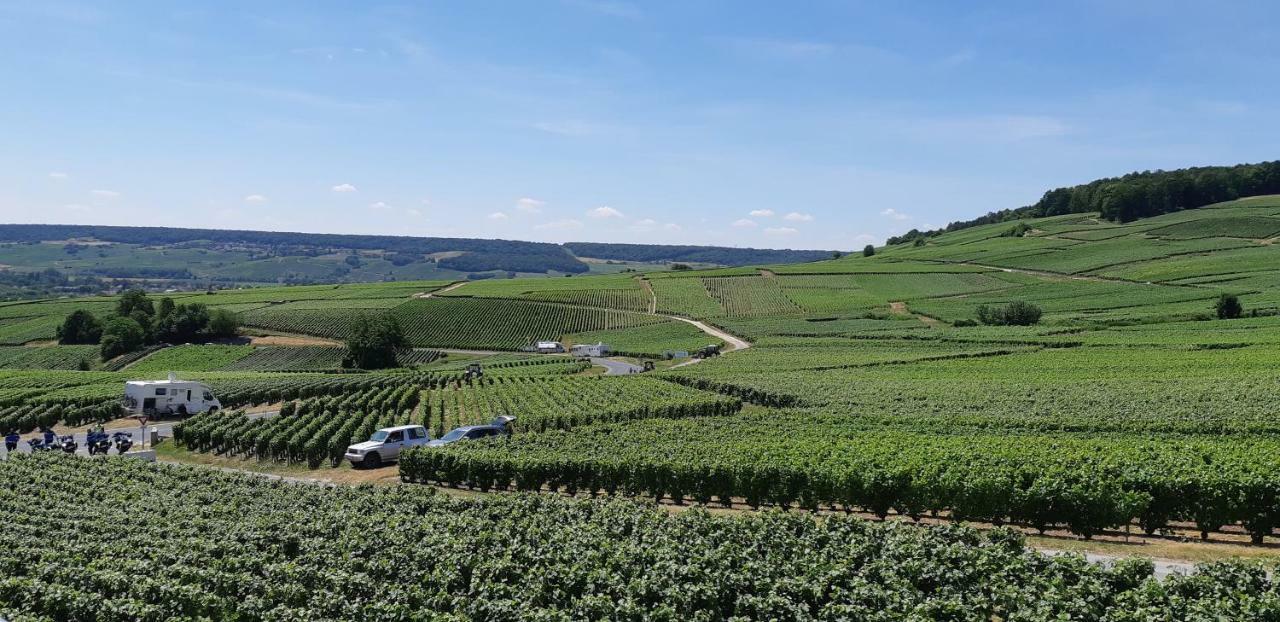 Flor'Ever En Champagne Fleury-la-Riviere Exterior photo
